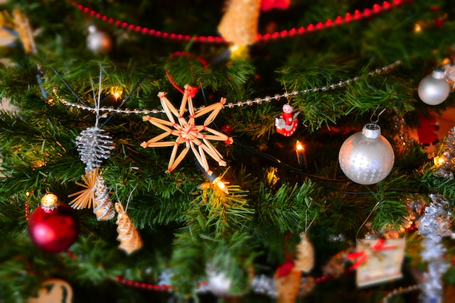 tree